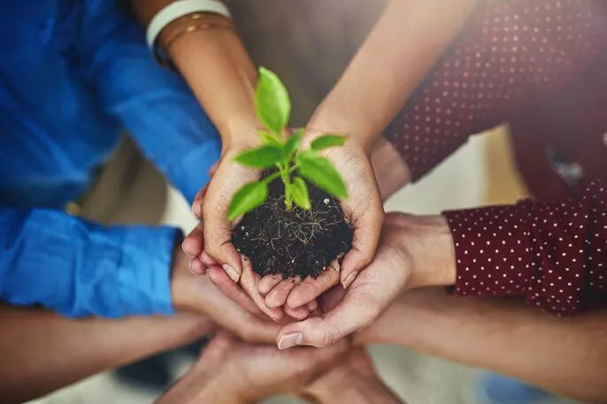 Plásticos agrícolas compostables