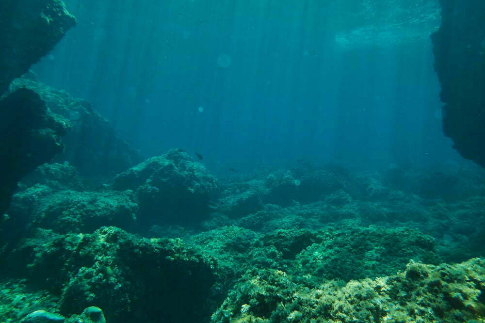 Biodegradability of bioplastics in the marine environment
