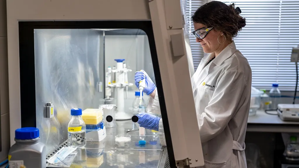 Bioencapsulació web 1