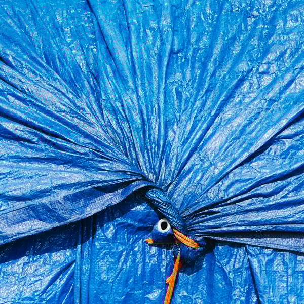 tarpaulin portada