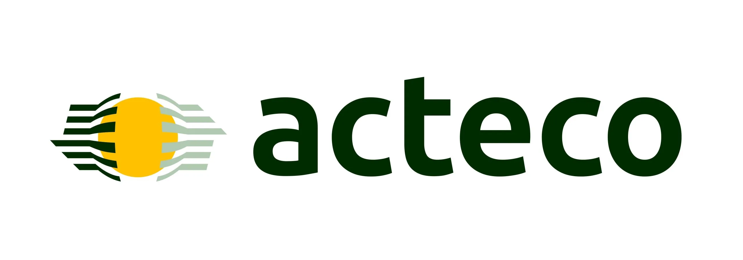 acteco versión 2025