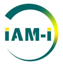 The Innovative Advanced Materials Initiative