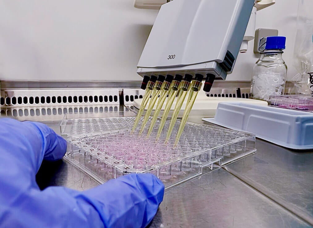 Bioassays 
